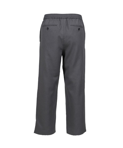 DAIWA PIER39(ダイワピア39)の「TECH WIDE EASY 2P TROUSERS(その他パンツ・メンズ・チャコールグレー・MEDIUM/SMALL)」の2枚目の写真