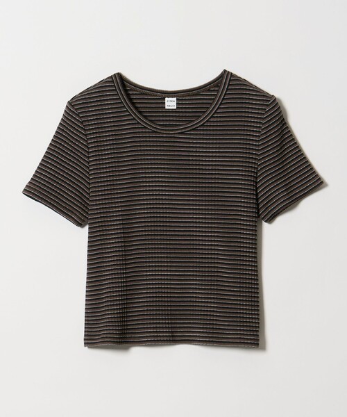CITEN(シテン)の「<CITEN>ボーダーチビT(Tシャツ/カットソー・レディース・ダークブラウン/ライム・FREE)」の12枚目の写真