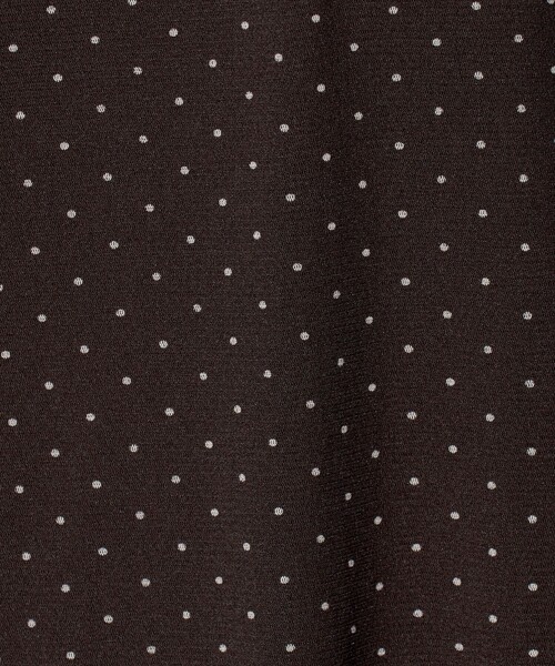 BEAUTY&YOUTH UNITED ARROWS(ビューティーアンドユースユナイテッドアローズ)の「ドット チュール ロングスリーブ カットソー(Tシャツ/カットソー・レディース・ブラック/ダークブラウン/オフホワイト・FREE)」の18枚目の写真
