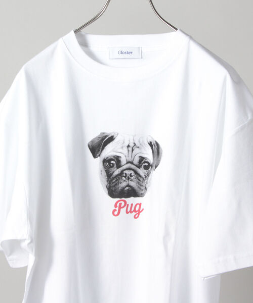 新柄追加 Dog Cat 犬猫プリントtシャツ Tシャツ カットソー Gloster グロスター のファッション通販 Zozotown