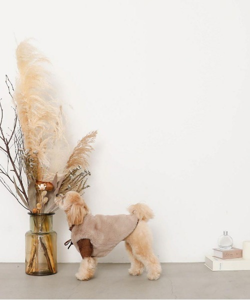 moncheri（モンシェリ）の「リボン付きファーベスト / 犬服 / ドッグ