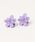 bibmilk�i�r�u�~���N�j�́uBIBMILK FLOWER 2P CLIP VIVID�i�o���b�^/�w�A�N���b�v�j�v�b���x���_�[