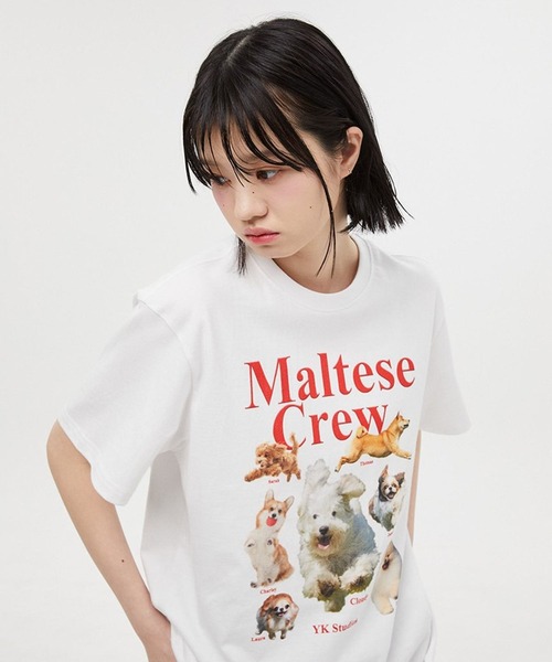 【セール】【UNISEX】Wai Kei / ワイケイ / YK studios Maltese Crew T / マルチーズ クルー 半袖Tシャツ 2907770（Tシャツ/カットソー）｜WaiKei（ワイケイ）