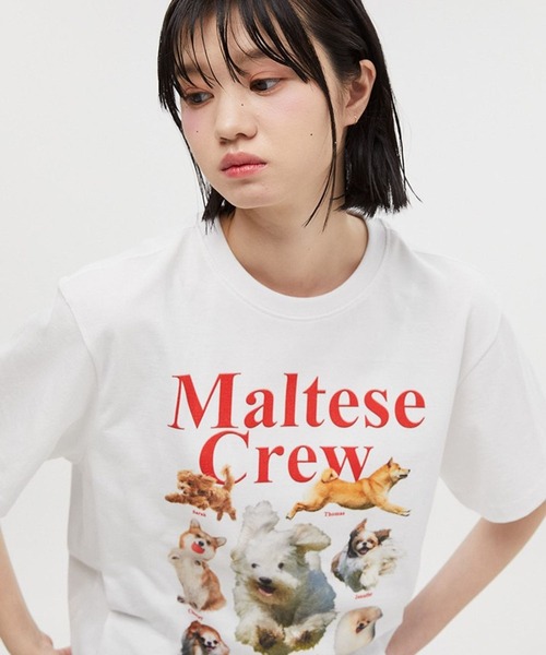 【セール】【UNISEX】Wai Kei / ワイケイ / YK studios Maltese Crew T / マルチーズ クルー 半袖Tシャツ 2907770（Tシャツ/カットソー）｜WaiKei（ワイケイ）