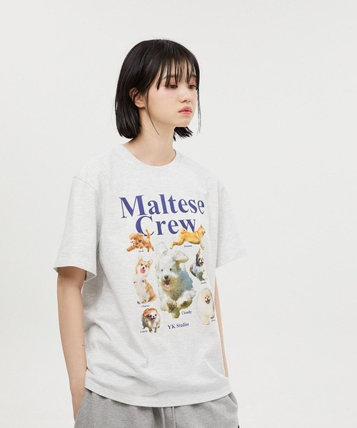 【セール】【UNISEX】Wai Kei / ワイケイ / YK studios Maltese Crew T / マルチーズ クルー 半袖Tシャツ 2907770（Tシャツ/カットソー）｜WaiKei（ワイケイ）