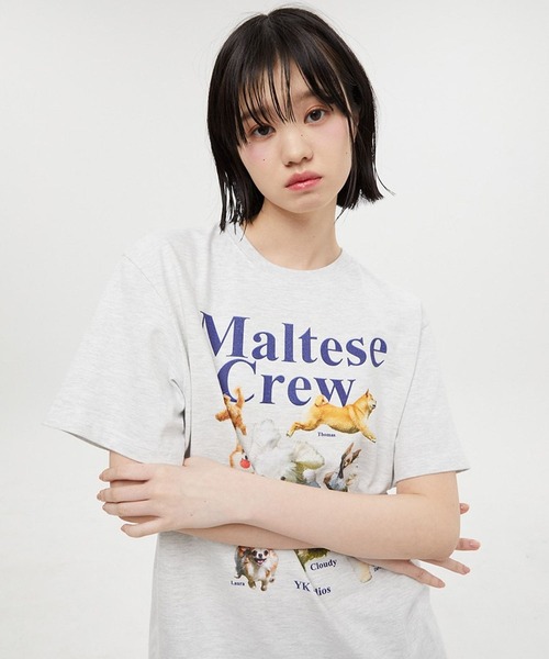 【セール】【UNISEX】Wai Kei / ワイケイ / YK studios Maltese Crew T / マルチーズ クルー 半袖Tシャツ 2907770（Tシャツ/カットソー）｜WaiKei（ワイケイ）