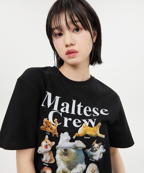 【セール】【UNISEX】Wai Kei / ワイケイ / YK studios Maltese Crew T / マルチーズ クルー 半袖Tシャツ 2907770（Tシャツ/カットソー）｜WaiKei（ワイケイ）