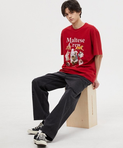 【セール】【UNISEX】Wai Kei / ワイケイ / YK studios Maltese Crew T / マルチーズ クルー 半袖Tシャツ 2907770（Tシャツ/カットソー）｜WaiKei（ワイケイ）