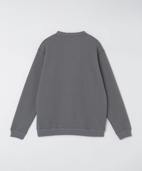 SHIPS(シップス)の「SHIPS: カット ジャカード バーズアイ クルーネック 長袖 Tシャツ(Tシャツ/カットソー・メンズ・ネイビー/ベージュ/グレー・LARGE/MEDIUM/SMALL)」の18枚目の写真