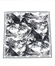 THE NORTH FACE（ザノースフェイス）の「バンダナ ハンカチ キャンピング マウンテン BANDANA_CAMPING_MOUNTAIN（バンダナ/スカーフ・メンズ）」