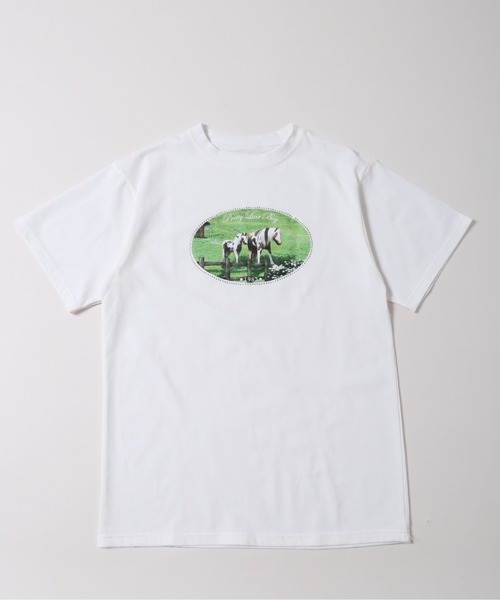 WC(ダブル シー)の「ラインストーンホースプリントTシャツ(Tシャツ/カットソー・レディース・ホワイト/グレー・FREE)」の17枚目の写真