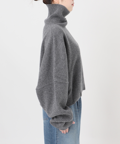 journal standard L'essage(ジャーナルスタンダードレサージュ)の「【R2W/アールツーダブリュー】FARBER SEMI CROP TURTLE KN:ニット(ニット/セーター・レディース・チャコールグレー/パープル・1)」の19枚目の写真