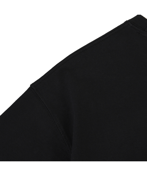 AOG PROJECT(エイオージープロジェクト)の「ミラクルライオンエンボディロゴTシャツ(ブラック)(Tシャツ/カットソー・メンズ・ブラック・MEDIUM/LARGE)」の5枚目の写真