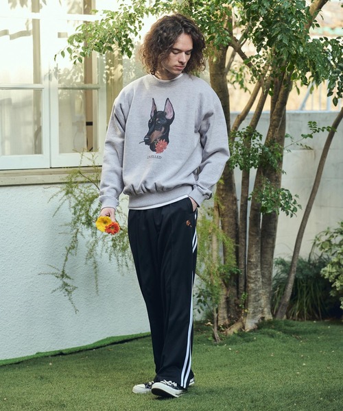 UN-FILLED(アンフィルド)の「msw1839- REAL GERBERA DOG CN SWEAT スウェット(ドーベルマン)(SDUF-2602DBM)(スウェット・メンズ・ホワイト/グレー・M/XL/L)」の14枚目の写真