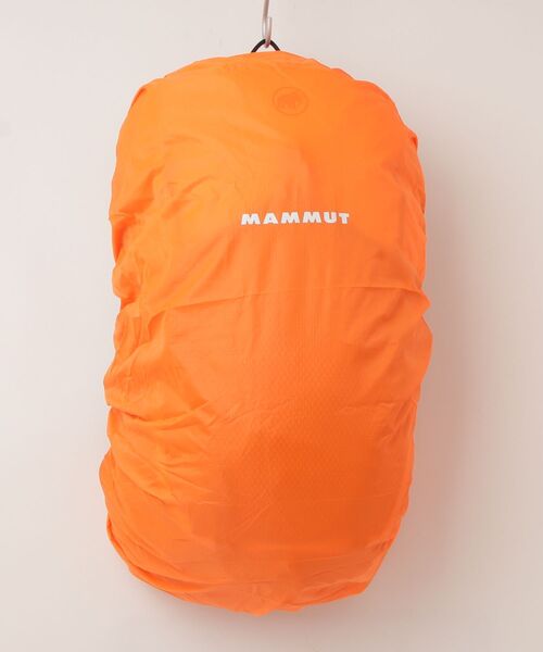Mammut(マムート)の「デュカン スパイン 28-35L / Ducan Spine 28-35(バックパック/リュック・メンズ・ライトブルー/セージグリーン・35L)」の7枚目の写真