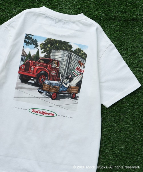 The Endless Summer(エンドレスサマー)の「TES x MACK TRUCKS COLLABORATION TEE Type-C / マックトラックスコラボTシャツ(Tシャツ/カットソー・メンズ・ホワイト/グレー/アイボリー・XX-LARGE/X-LARGE/LARGE/MEDIUM/SMALL)」の2枚目の写真