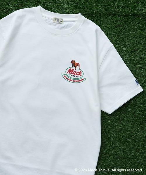 The Endless Summer(エンドレスサマー)の「TES x MACK TRUCKS COLLABORATION TEE Type-C / マックトラックスコラボTシャツ(Tシャツ/カットソー・メンズ・ホワイト/グレー/アイボリー・XX-LARGE/X-LARGE/LARGE/MEDIUM/SMALL)」の6枚目の写真