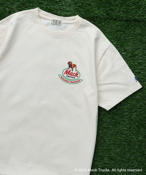 The Endless Summer(エンドレスサマー)の「TES x MACK TRUCKS COLLABORATION TEE Type-C / マックトラックスコラボTシャツ(Tシャツ/カットソー・メンズ・ホワイト/グレー/アイボリー・XX-LARGE/X-LARGE/LARGE/MEDIUM/SMALL)」の9枚目の写真