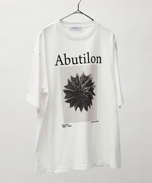 アーティストTシャツ（Karl Blossfeldt / Abutilon）
