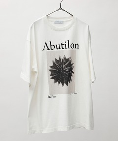 アーティストTシャツ（Karl Blossfeldt／Abutilon）