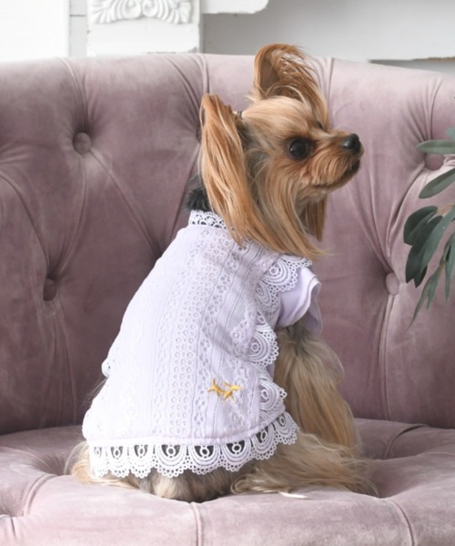 ROPE' PICNIC(ロペピクニック)の「ROPE PICNIC/レースワンピース(ペットウェア・レディース・パープル/グリーン/ピンク・M/2L/XS/2M/L/2XS/S)」の1枚目の写真