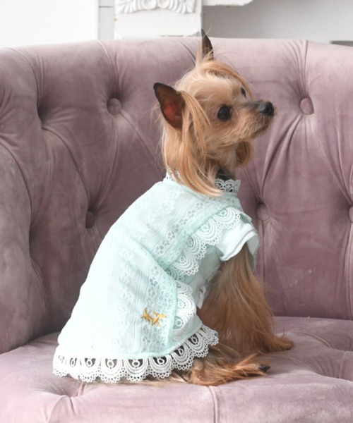 ROPE' PICNIC(ロペピクニック)の「ROPE PICNIC/レースワンピース(ペットウェア・レディース・パープル/グリーン/ピンク・M/2L/XS/2M/L/2XS/S)」の3枚目の写真