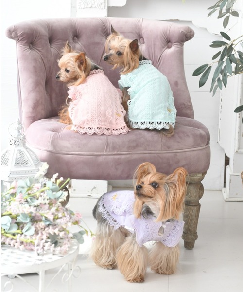 ROPE' PICNIC(ロペピクニック)の「ROPE PICNIC/レースワンピース(ペットウェア・レディース・パープル/グリーン/ピンク・M/2L/XS/2M/L/2XS/S)」の4枚目の写真
