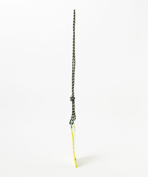 Ray BEAMS（レイビームス）の「Accommode × Ray BEAMS / 別注 PVC サコッシュ（その他小物・レディース・ブラック/グリーン・ONE SIZE）」の8枚目の写真