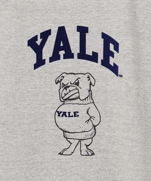 J.PRESS YORK STREET(ジェイプレスヨークストリート)の「【UNISEX】YALE × J.PRESS YORK STREET コラボTシャツ(Tシャツ/カットソー・メンズ・ホワイト系/ネイビー系/ピンク系/ライトグレー系・MEDIUM/LARGE/SMALL)」の13枚目の写真