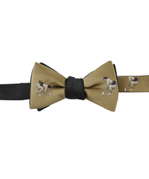 Bowtie�i�{�E�^�C�j�́u�X�|�[�c���^�C�i���o�j�i���l�N�^�C�j�v
