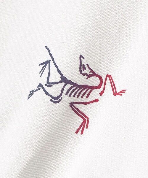 Tシャツ・カットソー Arc'teryx T-shirts アークテリクス ARC'TERYX ARCTERYX Tシャツ Arc'Word Logo SS M