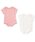 petit mainiveB}Cj́uy_z{fB[X[cijvbsNn̑