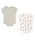 petit mainiveB}Cj́uy_z{fB[X[cijvbCgO[
