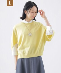 【L】【ウォッシャブル】コットンギマクルーネックニット