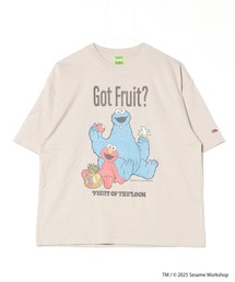 【FRUIT OF THE LOOM/フルーツオブザルーム】ESAME STREET× FRUIT OF THE LOOM Illust T-Shirt B