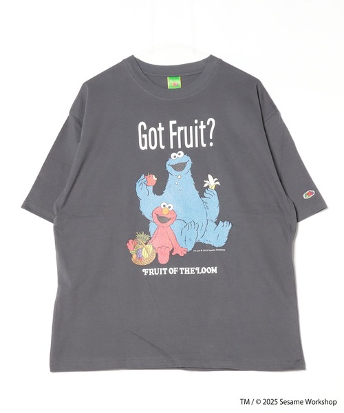 FRUIT OF THE LOOM(フルーツオブザルーム)の「【FRUIT OF THE LOOM/フルーツオブザルーム】ESAME STREET× FRUIT OF THE LOOM Illust T-Shirt B(Tシャツ/カットソー・レディース・ベージュ/チャコールグレー・L/M/S)」の1枚目の写真