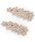 petit mainiveB}Cj́uԃ[XwAs/LiwAsjvbx[W