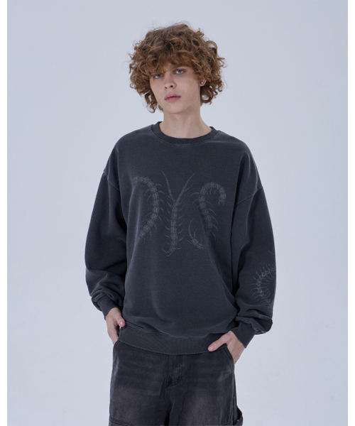 DYSFUNCT(ディスファンクト)の「DYS CENTIPEDE PIGMENT SWEATSHIRT (CHARCOAL)(スウェット・メンズ・その他・MEDIUM/LARGE/X-LARGE)」の4枚目の写真