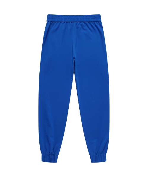 SOLEW(ソル)の「ロゴポイントトラックパンツ_ロイヤルブルー(スウェットパンツ・メンズ・その他・SMALL/MEDIUM/LARGE/X-LARGE)」の5枚目の写真