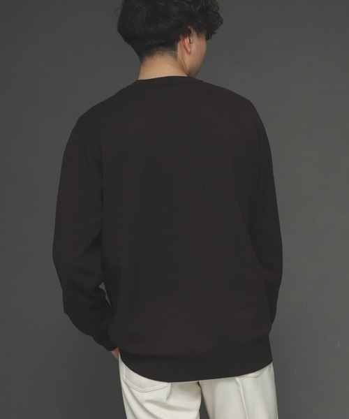 SENSE OF PLACE by URBAN RESEARCH（センスオブプレイスバイアーバンリサーチ）の「ストレッチクルーネックセーター（ニット/セーター・メンズ・ブルー/ブラウン/アイボリー/ライトベージュ/ブラック/ミント・LARGE/MEDIUM）」の11枚目の写真