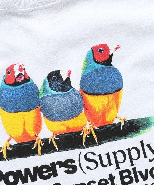 POWERS(パワーズ)の「POWERS BIRD SS TEE Tシャツ パワーズ UNION ユニオン(Tシャツ/カットソー・メンズ・ホワイト/ブラック・SMALL/MEDIUM/LARGE/X-LARGE)」の6枚目の写真
