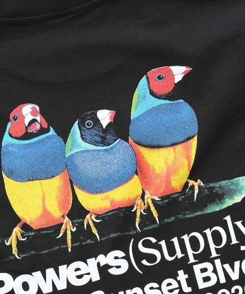 POWERS(パワーズ)の「POWERS BIRD SS TEE Tシャツ パワーズ UNION ユニオン(Tシャツ/カットソー・メンズ・ホワイト/ブラック・SMALL/MEDIUM/LARGE/X-LARGE)」の3枚目の写真