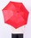 FUNALIVEit@ACuj́uGRACITO { xmn yʃJ[{gp ܂肽ݎPi܂肽ݎPjvbbh