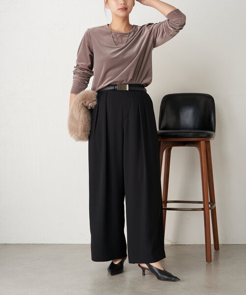 Jena espace merveilleux（ジェナ　エスパスメルヴェイユ）の「ベロアプルオーバー（Tシャツ/カットソー・レディース・ベージュ/グレー/ブラック・FREE）」の14枚目の写真