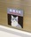 ABBEY MARKETiAr[}[Pbgj́uPurr Purr L ӃXL[ LDAs[ }OlbgXebJ[iXebJ[/e[vjvbA