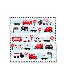 BACKYARD FAMILY(obN[ht@~[)̃nJ` acchi cocchi(^I)