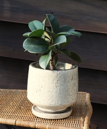 DULTON(�_���g��)��GLAZED EARTHENWARE POT M/�A�ؔ� �v�����^�[(�t�����[�x�[�X)