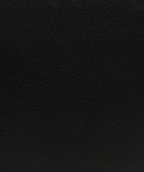 Steven Alan（スティーブンアラン）の「＜MIUUR＞SABAH/ショルダーバッグ（ショルダーバッグ・レディース・ブラック・FREE）」の11枚目の写真