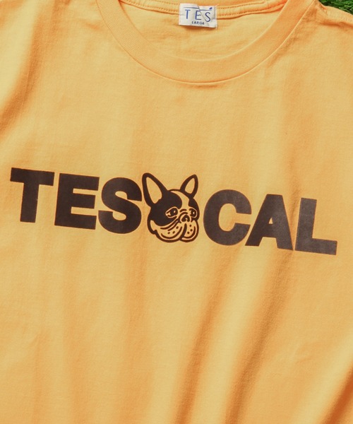 The Endless Summer（エンドレスサマー）の「TES LOCAL CREW FLOCKY T