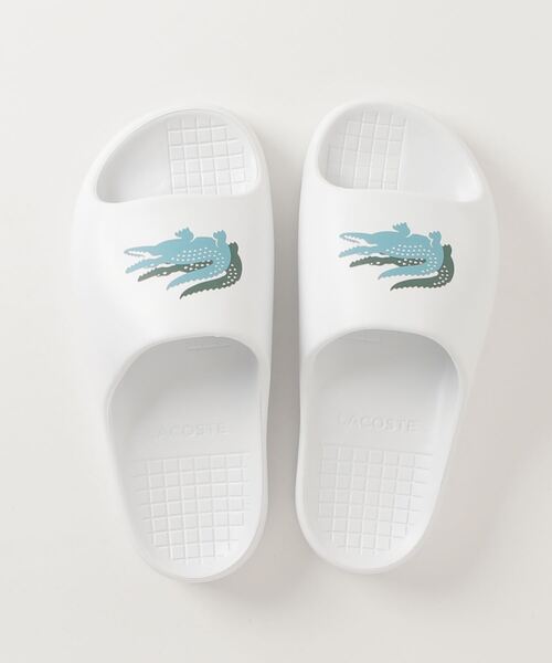 LACOSTE（ラコステ）の「LACOSTE/ラコステ CROCO 2.0 EVO 123 1